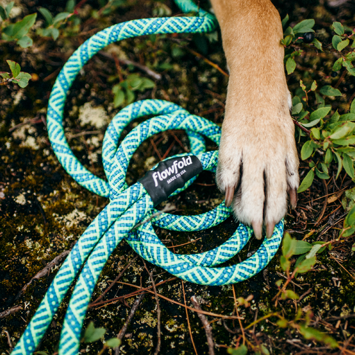 Coastal Dog Kit: 6ft Recycled Climbing Rope Dog Leash + Collar
