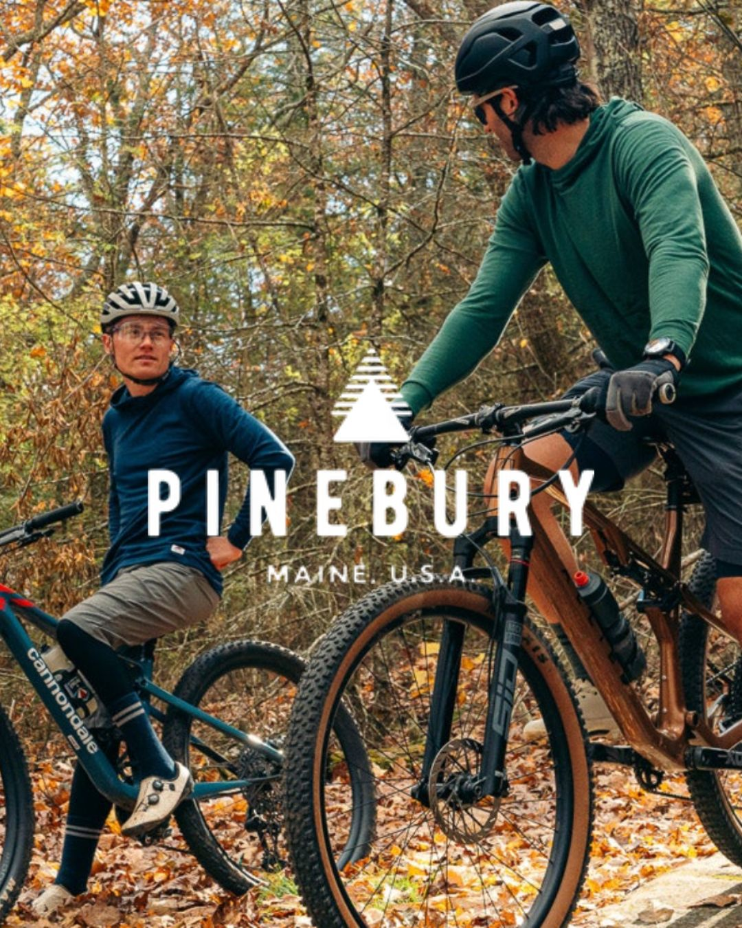 pinebury logo