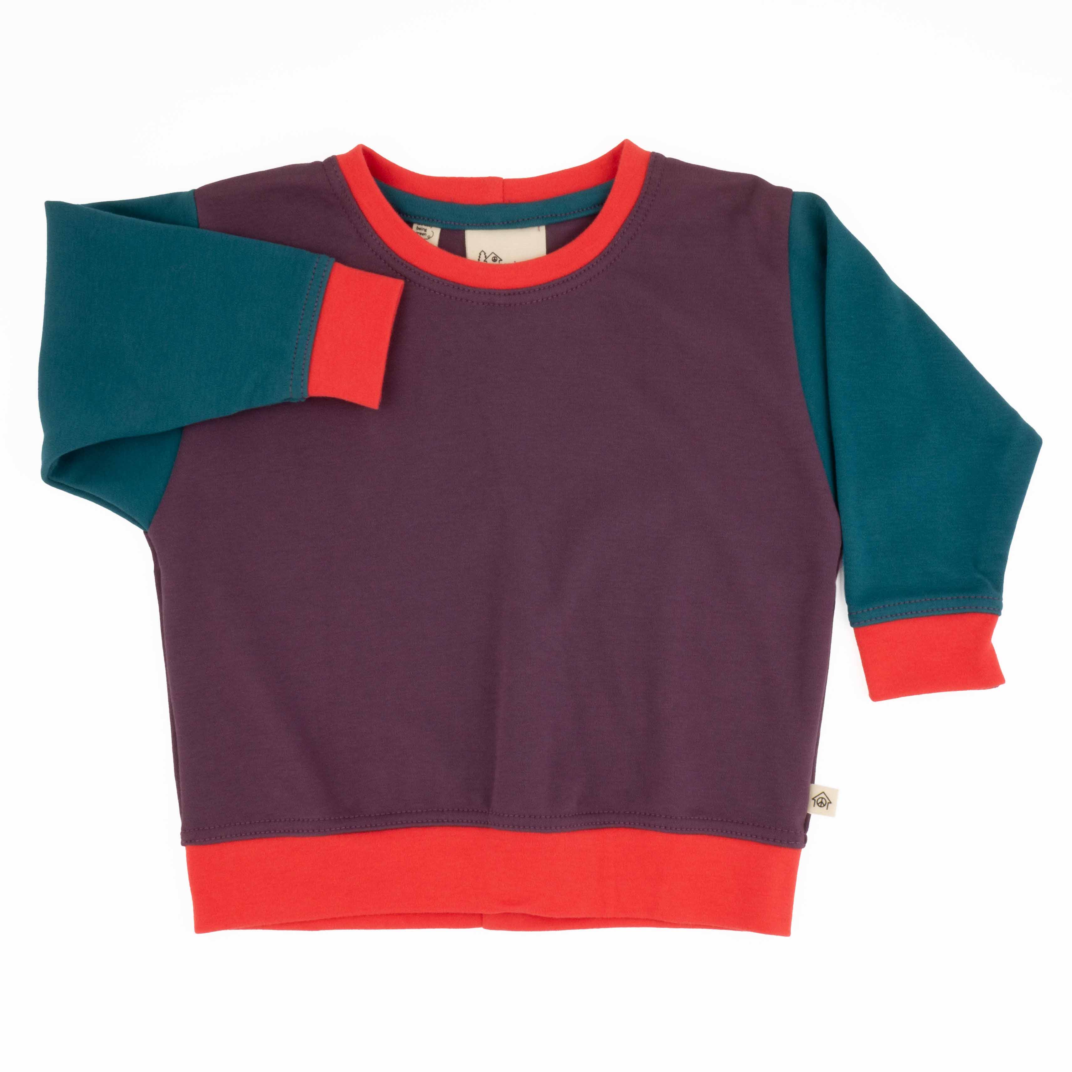 Baby Colorblock Sweatshirt