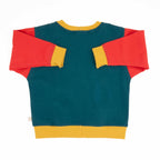 Big Kid Colorblock Sweatshirt
