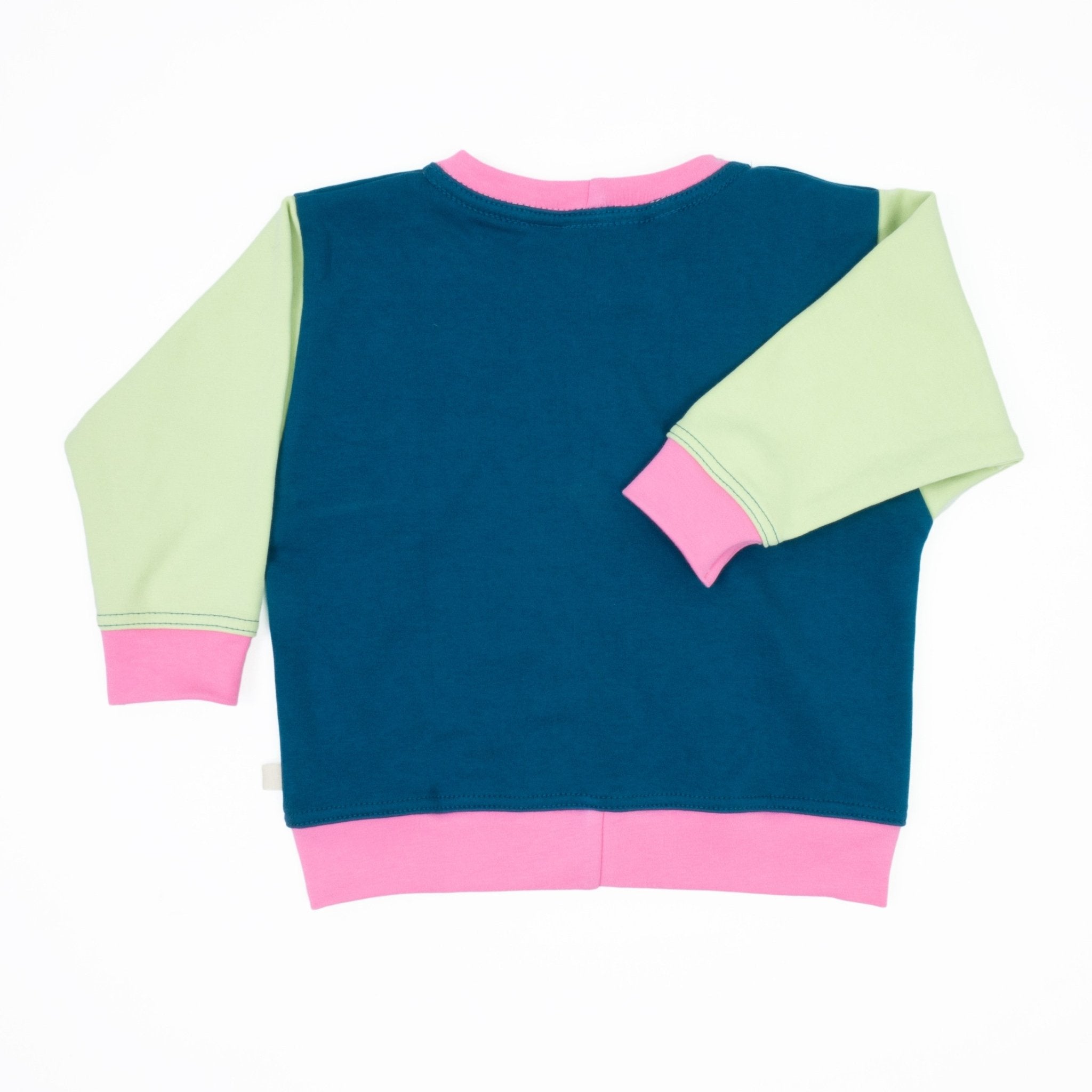 Big Kid Colorblock Sweatshirt