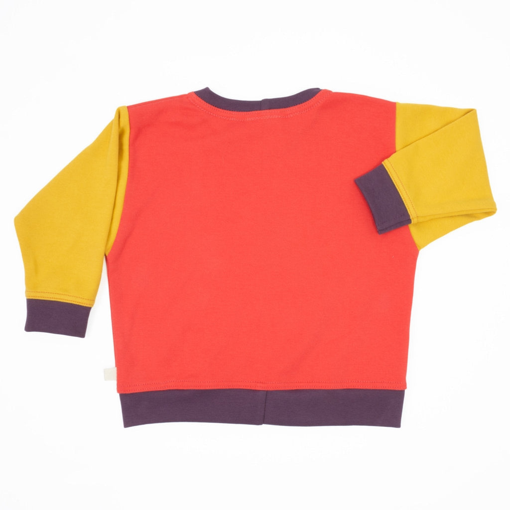 Big Kid Colorblock Sweatshirt