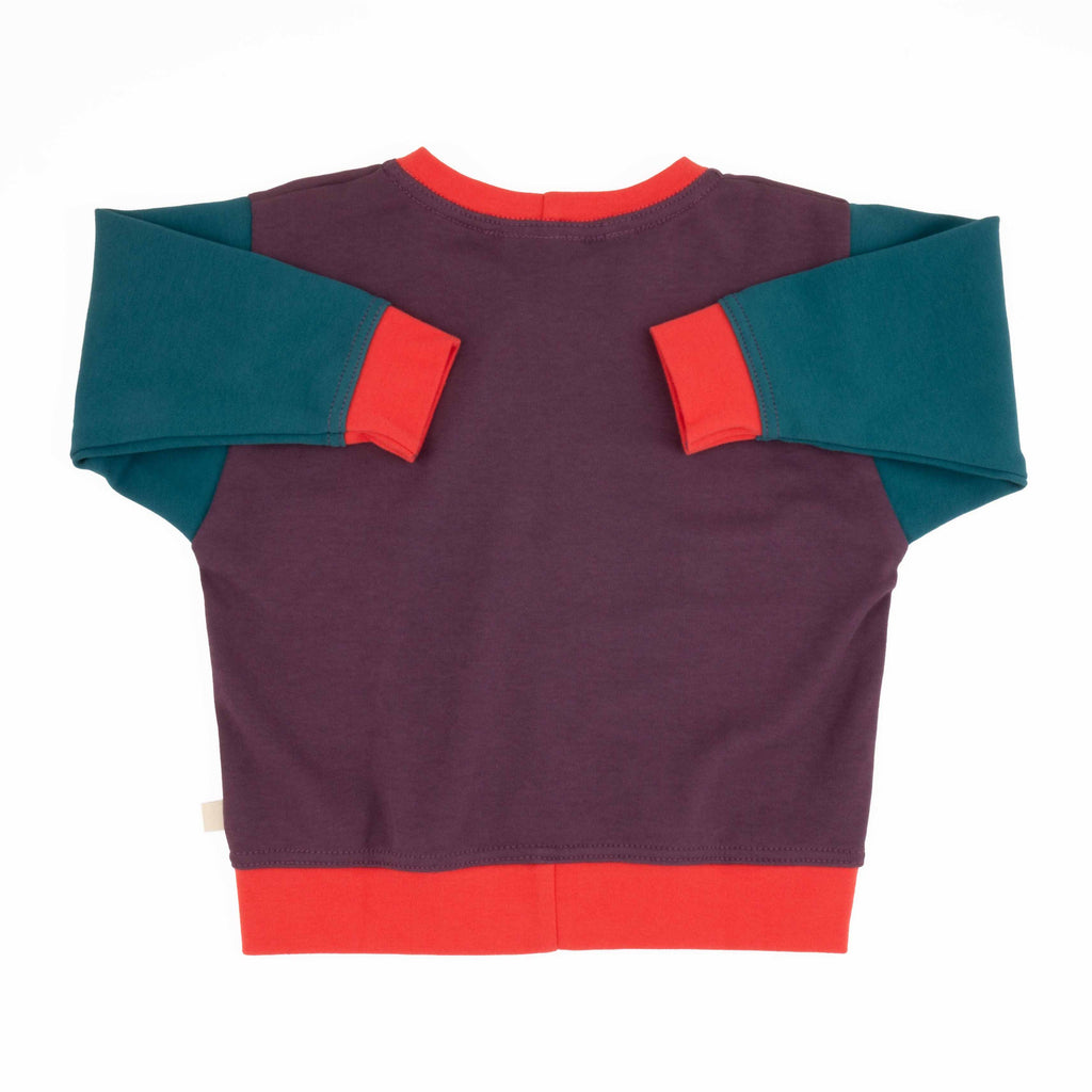 Big Kid Colorblock Sweatshirt