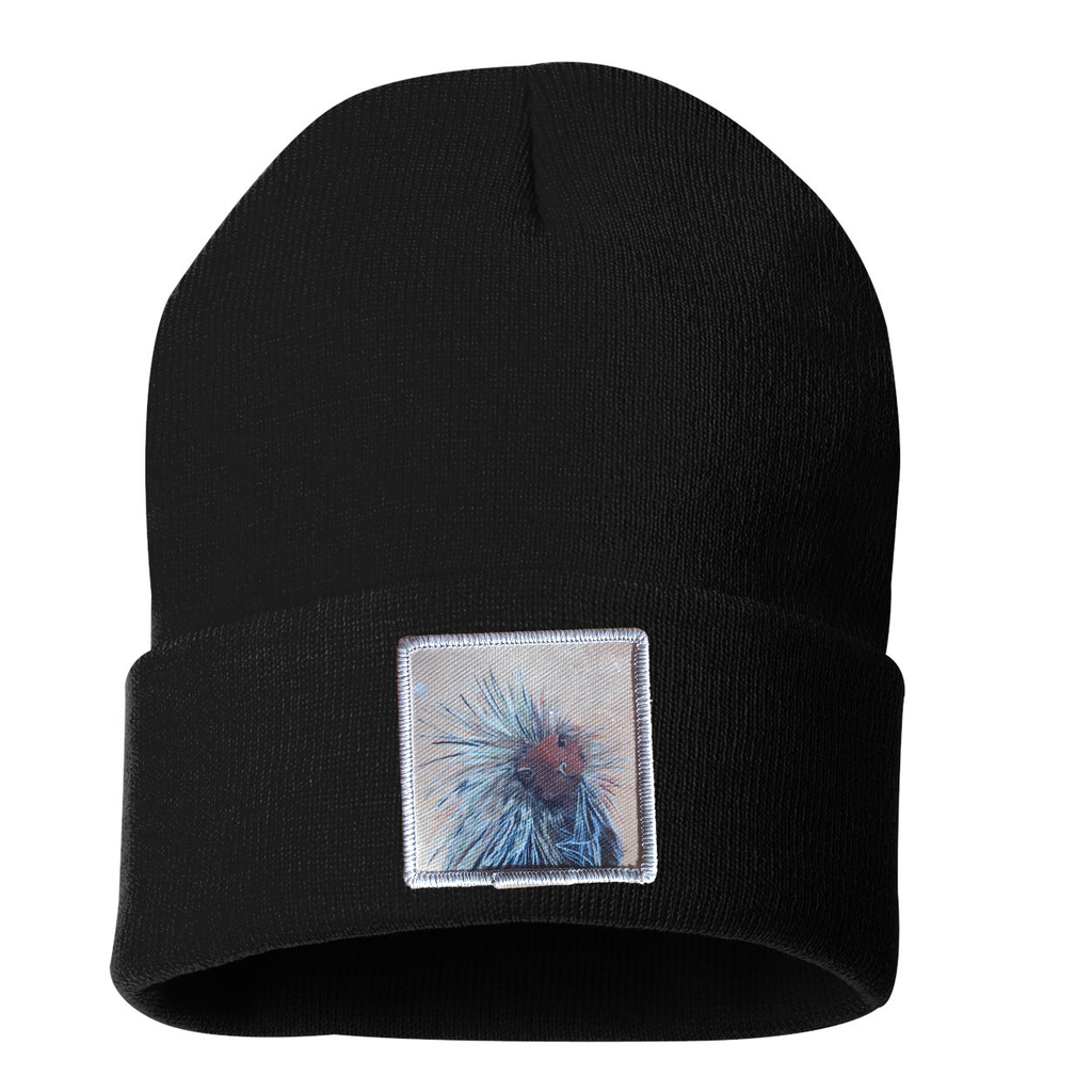 Porcupine Beanie
