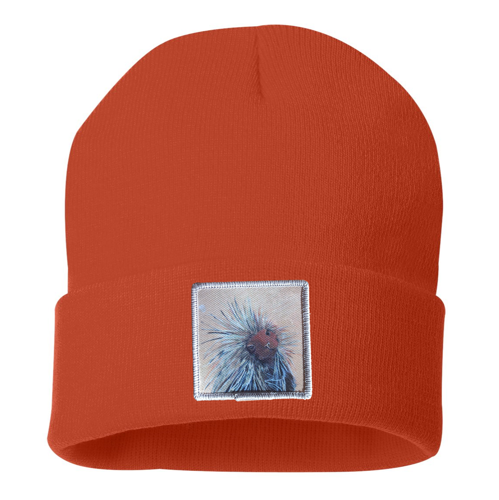 Porcupine Beanie