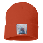 Porcupine Beanie