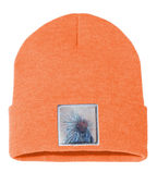 Porcupine Beanie