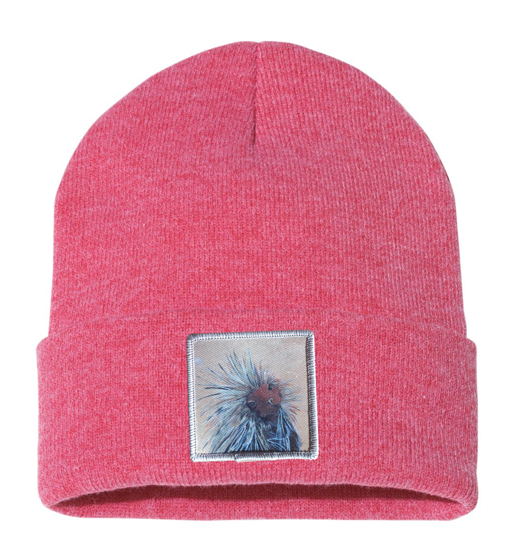 Porcupine Beanie