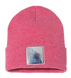 Porcupine Beanie