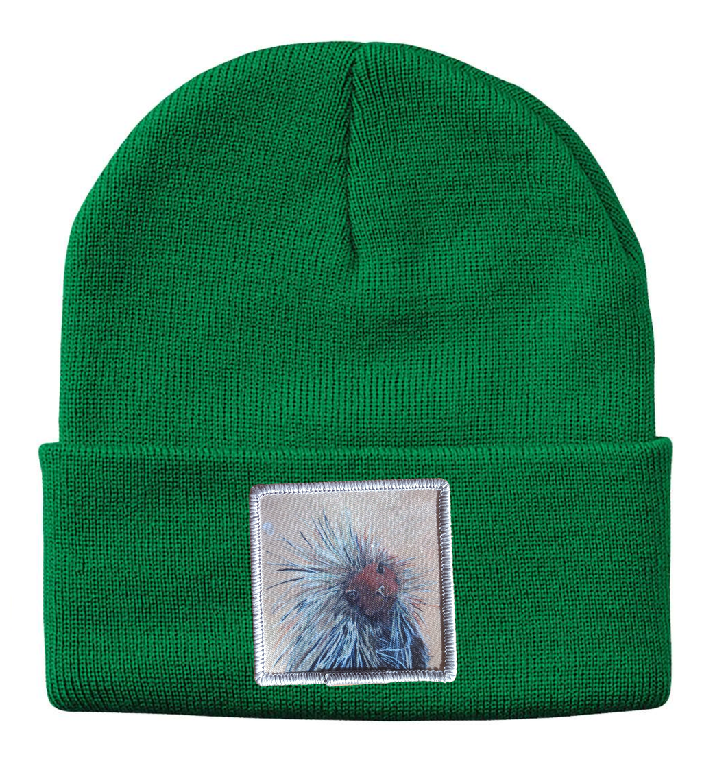 Porcupine Beanie