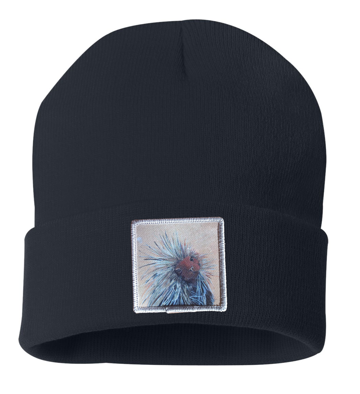 Porcupine Beanie