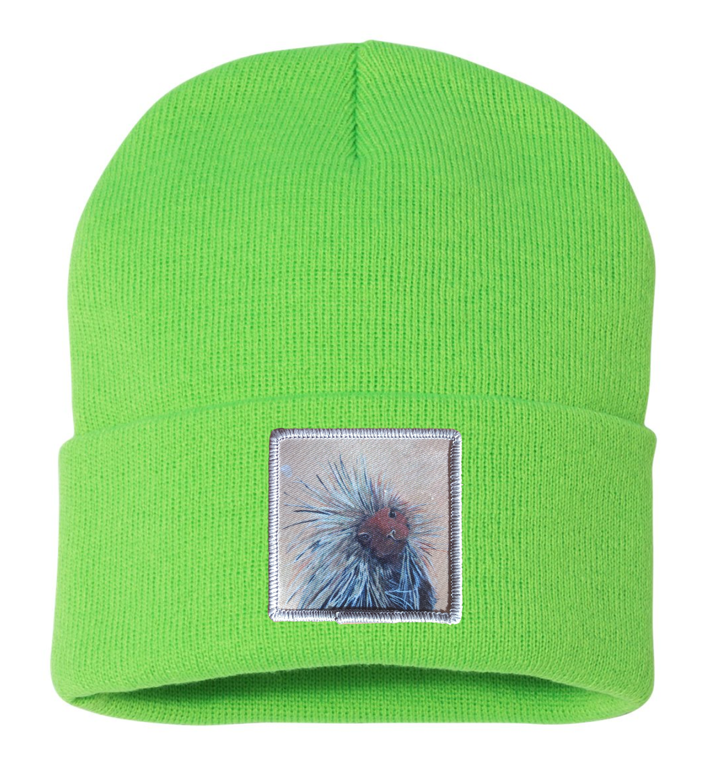 Porcupine Beanie