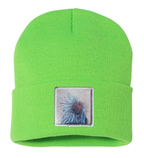 Porcupine Beanie