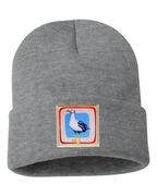 Seagull
