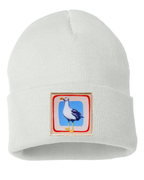 Seagull