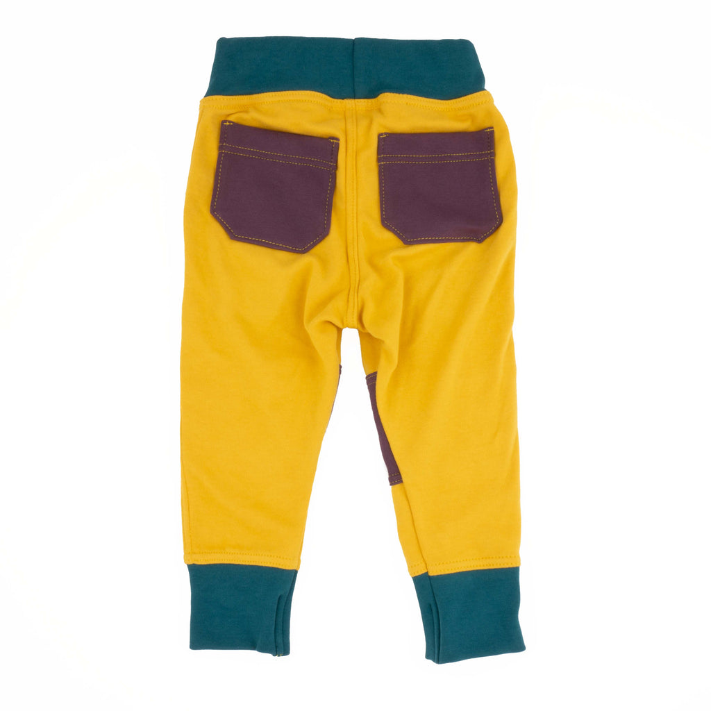 Toddler Colorblock Joggers