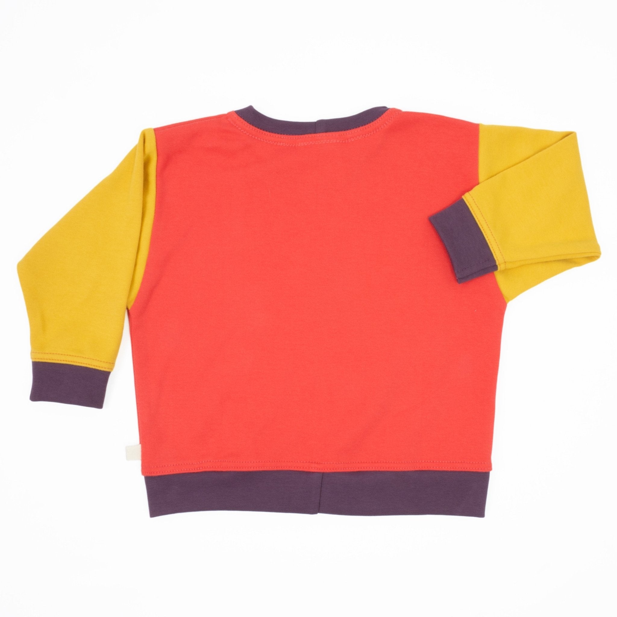 Toddler Colorblock Sweatshirt