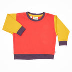 Toddler Colorblock Sweatshirt