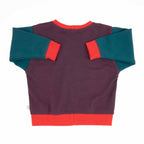 Toddler Colorblock Sweatshirt