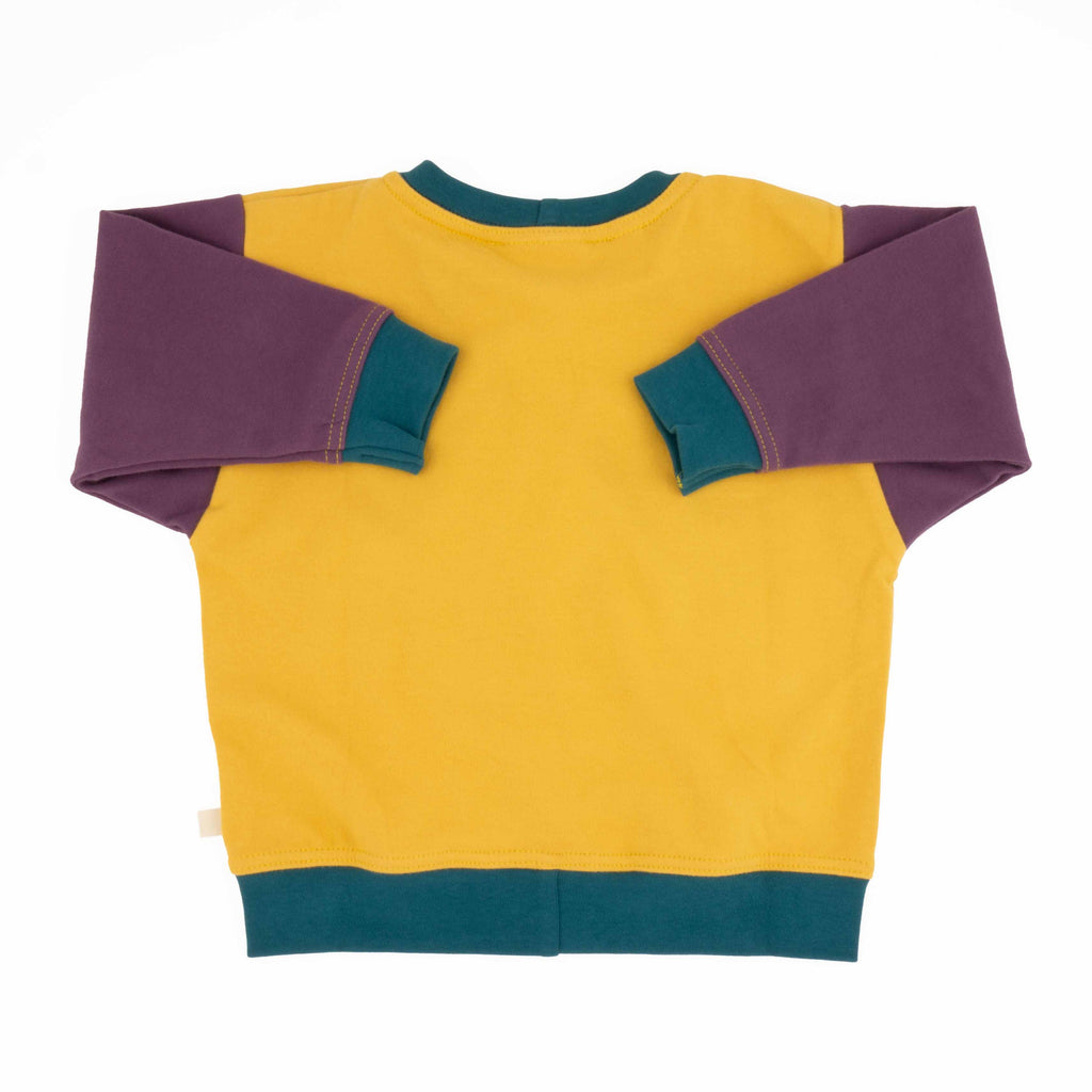 Toddler Colorblock Sweatshirt