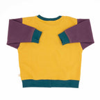 Toddler Colorblock Sweatshirt