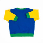Toddler Colorblock Sweatshirt